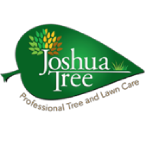 Joshua Tree Experts